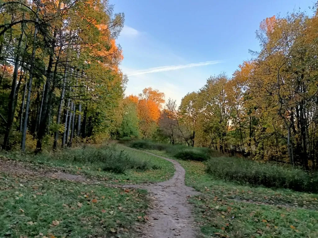 Чайная беседка
