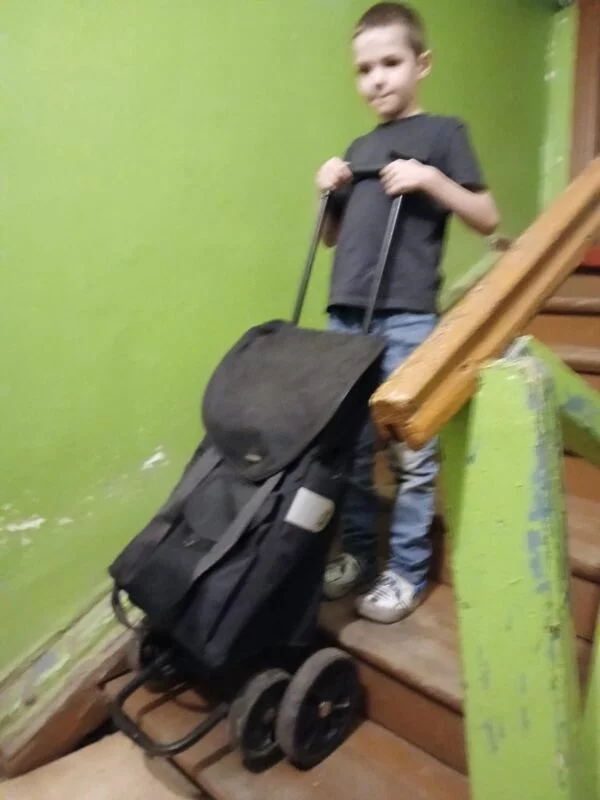 Хозяйственные сумки-тележки