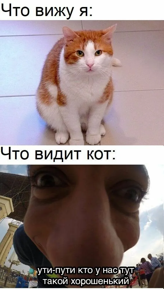 Посмеялся сам - поделись с другом!!!