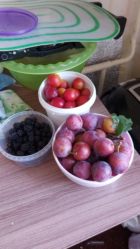 Чайная беседка