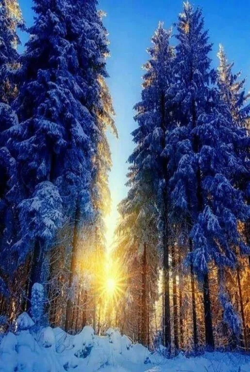 Кафе «У пани Сони»