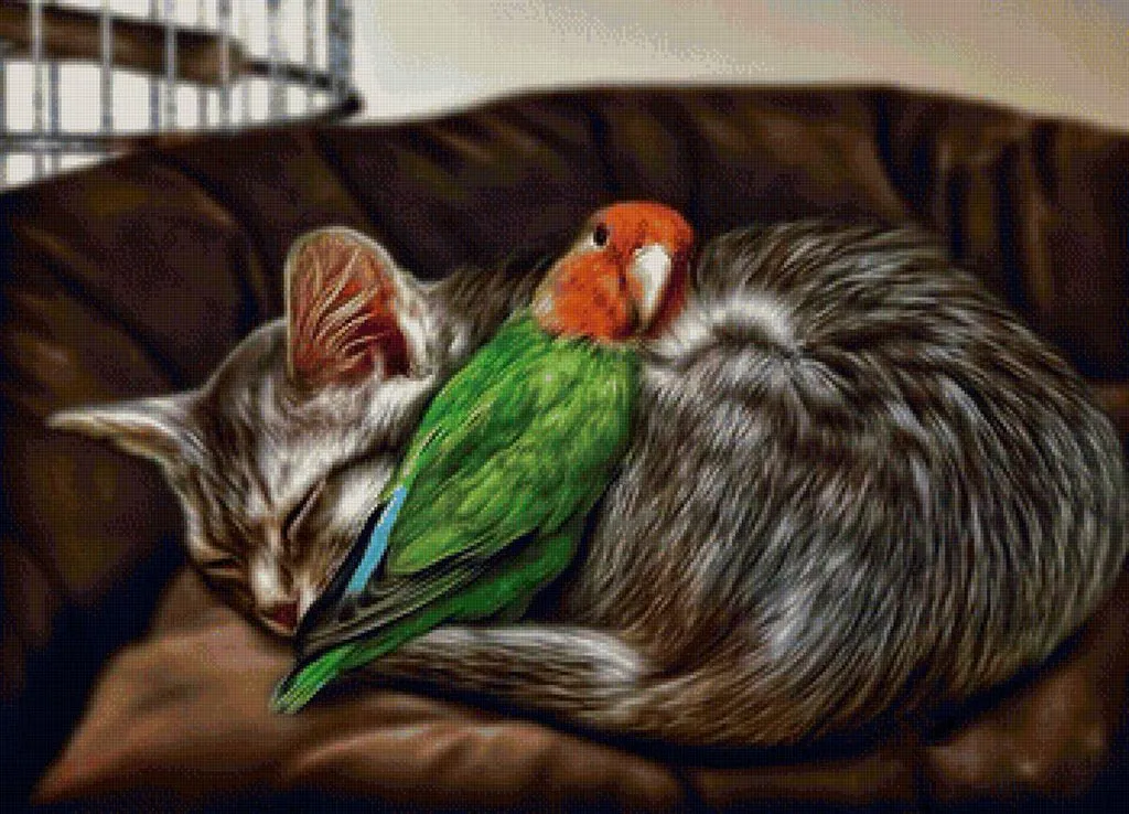 Рассказы для души