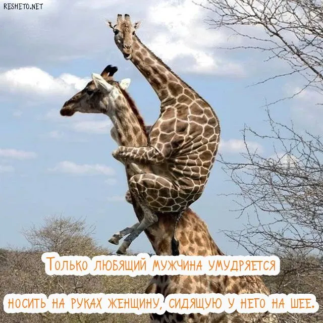 Посмеялся сам - поделись с другом!!!