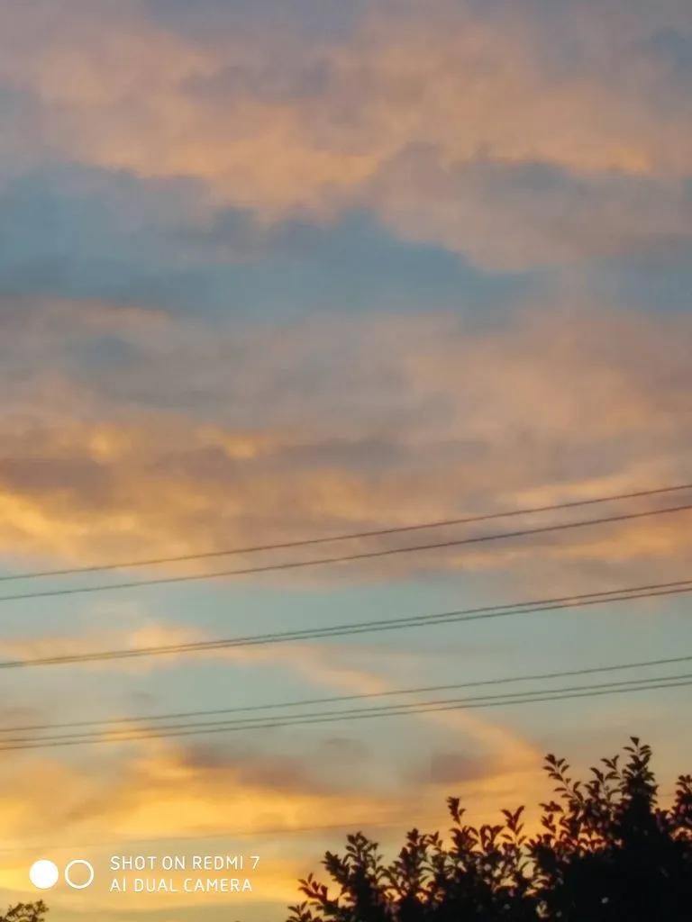 Такое разное небо