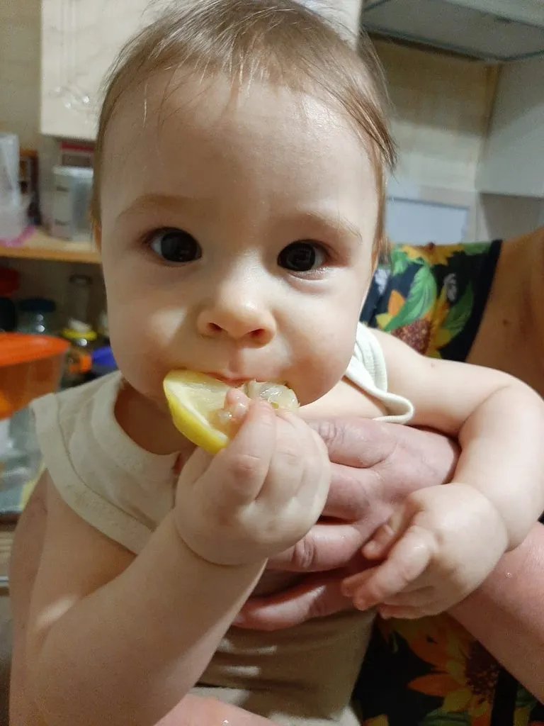 Tapтaлeтки & Ко