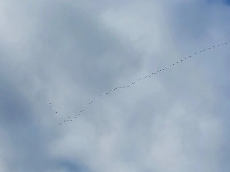 Такое разное небо