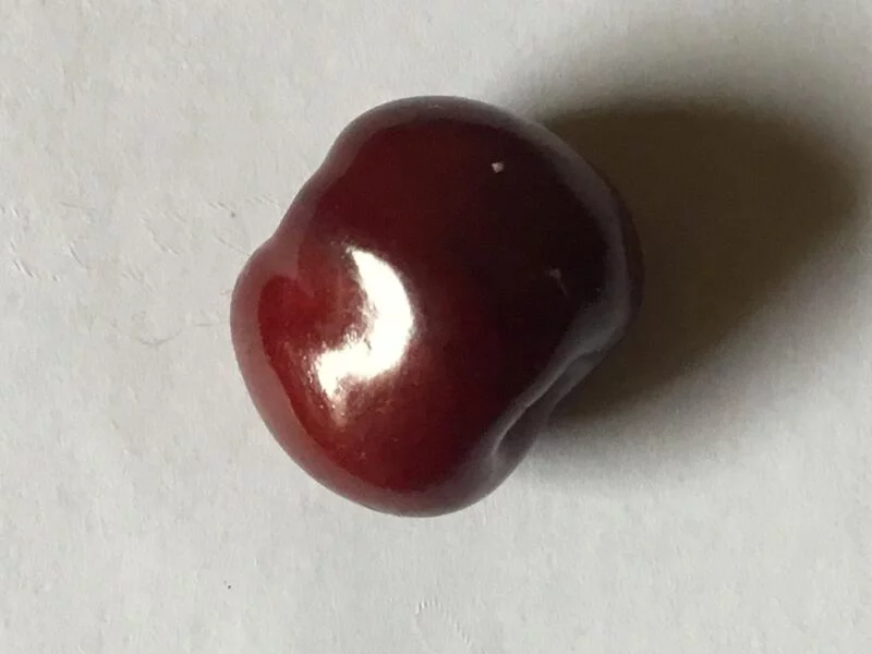 Чайная беседка