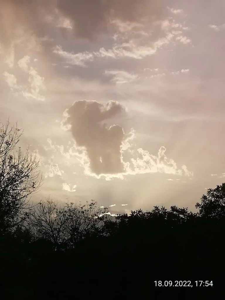 Такое разное небо