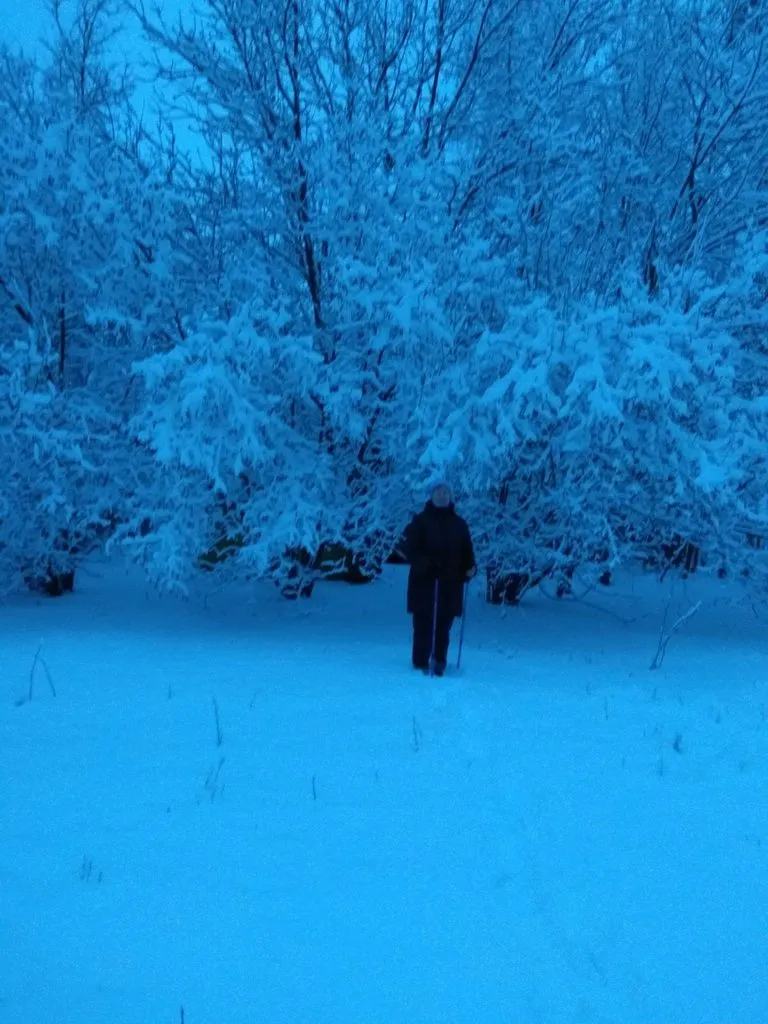 Чайная беседка