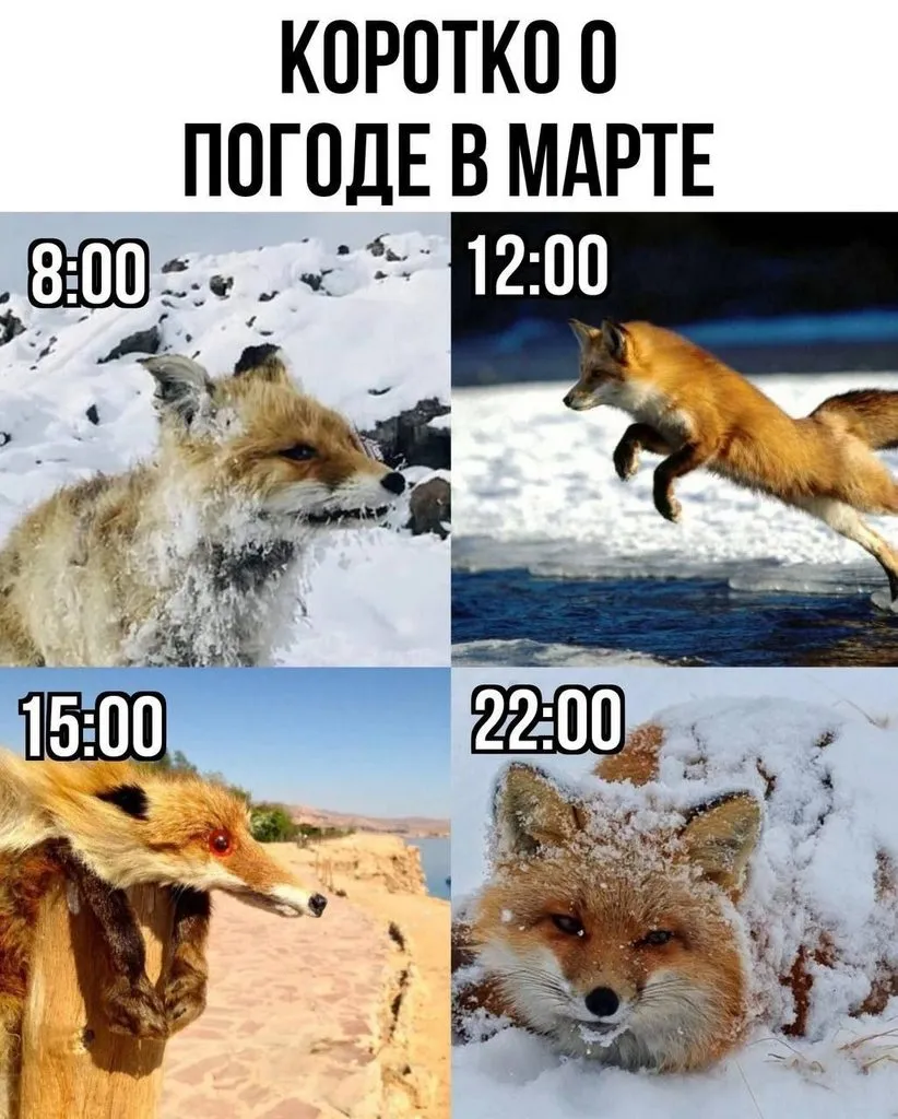 Tapтaлeтки & Ко