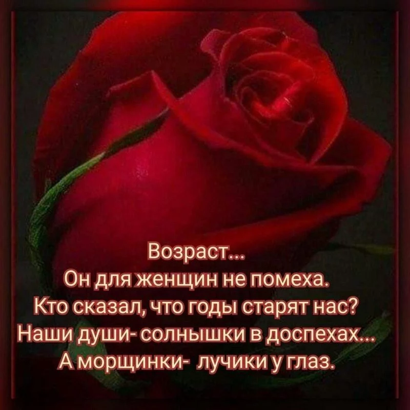 Позитивчик (фото, видео, рассказы для хорошего настроения)