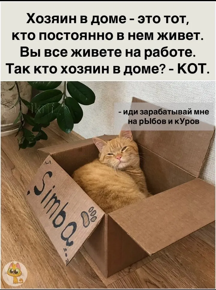 Кошичкина полиция