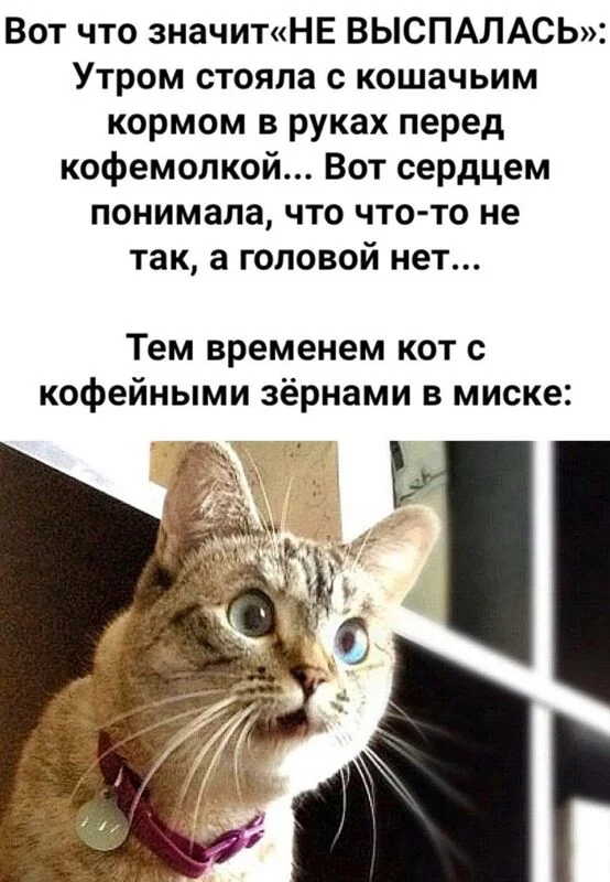 Посмеялся сам - поделись с другом!!!