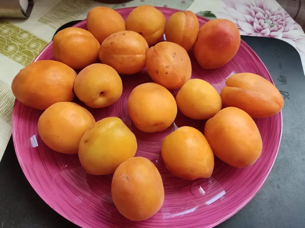 Где, что и когда купить в Москве