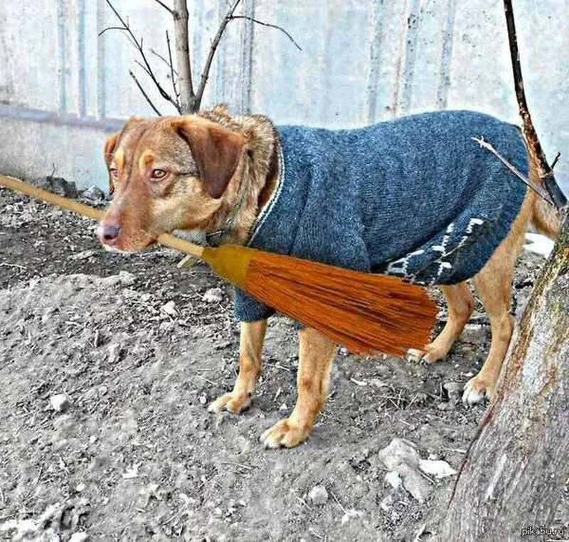 Рассказы для души