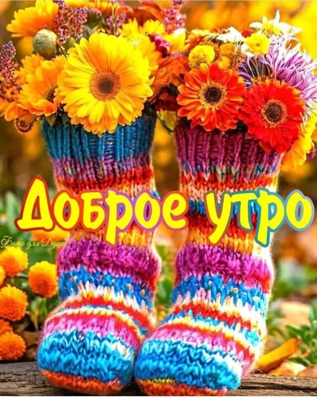 Кафе "У пани Сони"