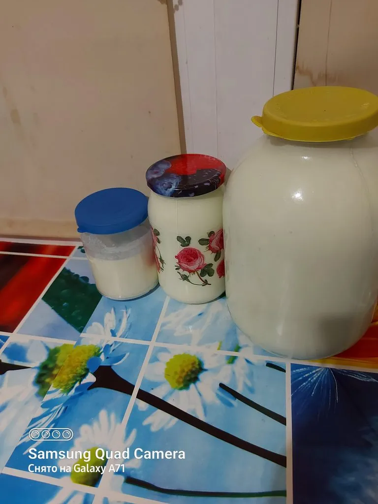 Tapтaлeтки & Ко