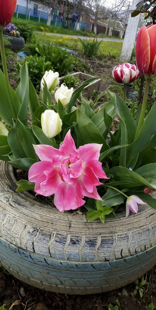 Чайная беседка