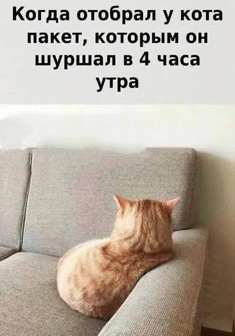 Эти забавные животные