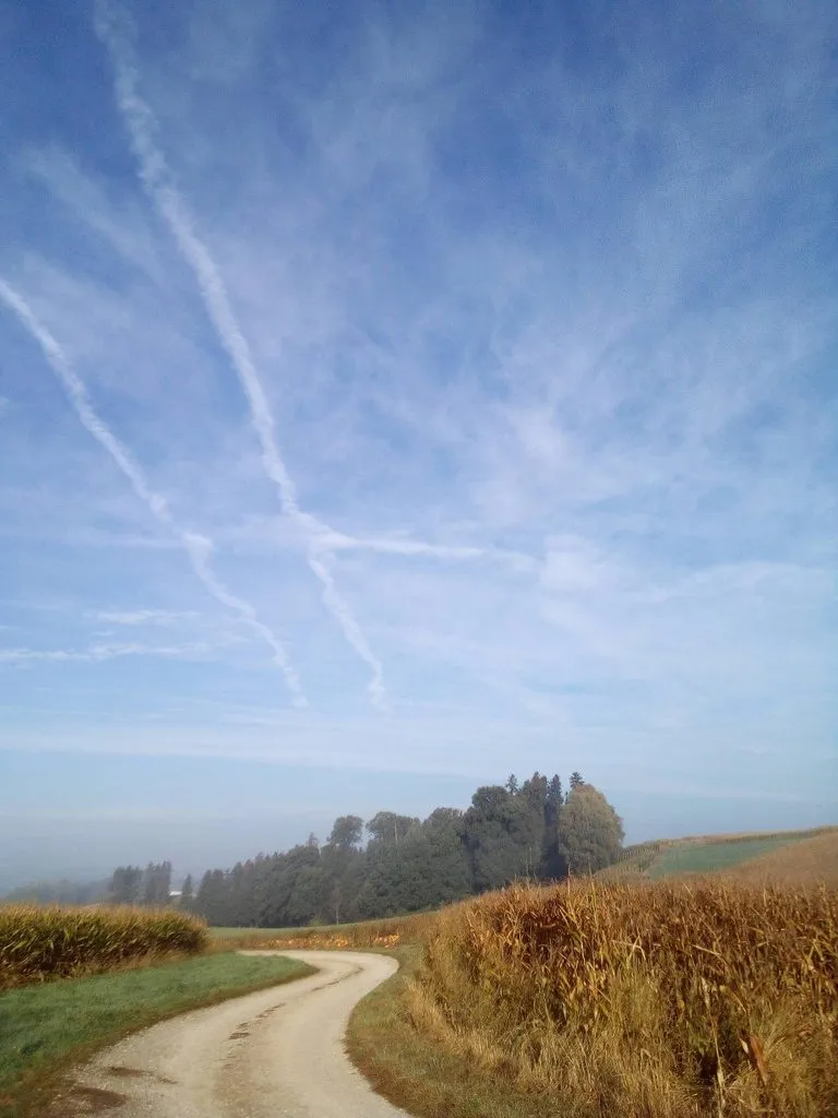 Tapтaлeтки & Ко