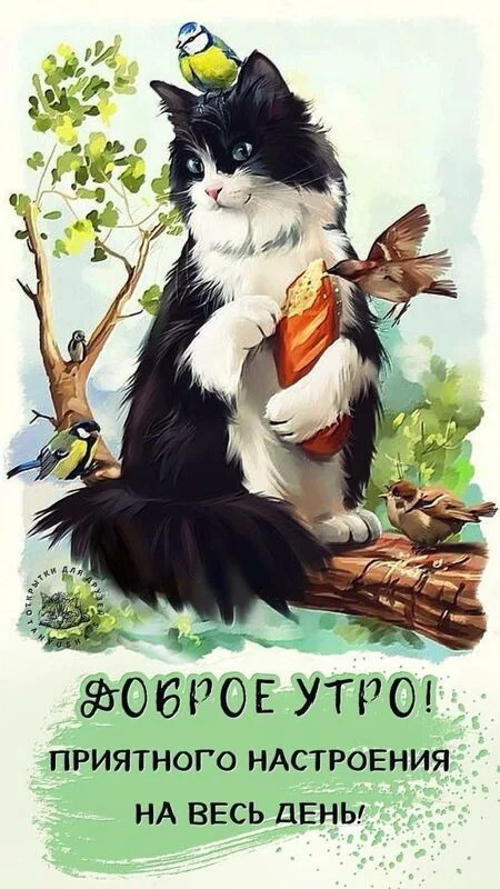 Кафе "У пани Сони"