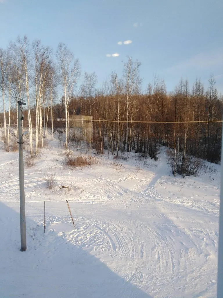 Чайная беседка