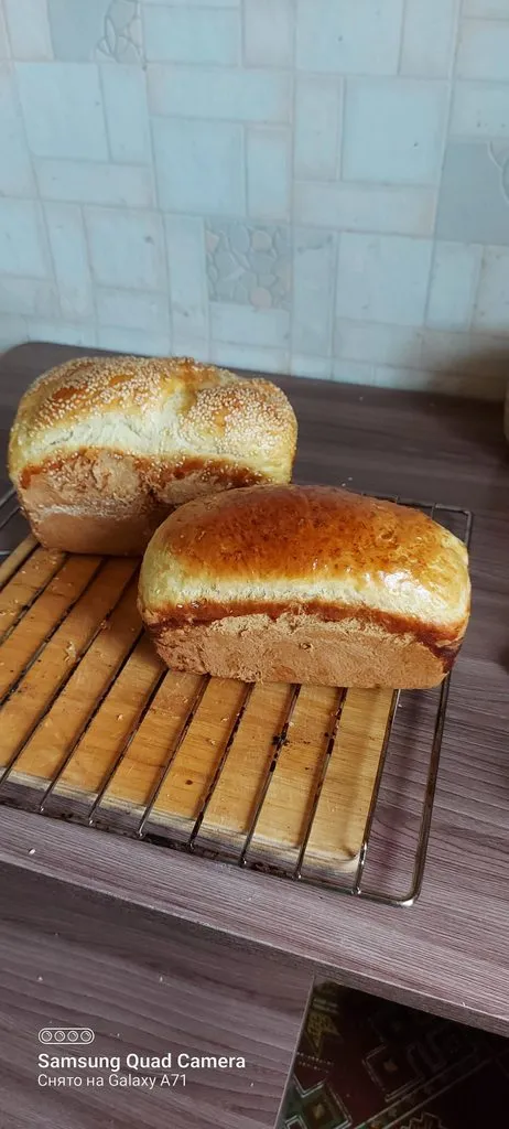 Tapтaлeтки & Ко