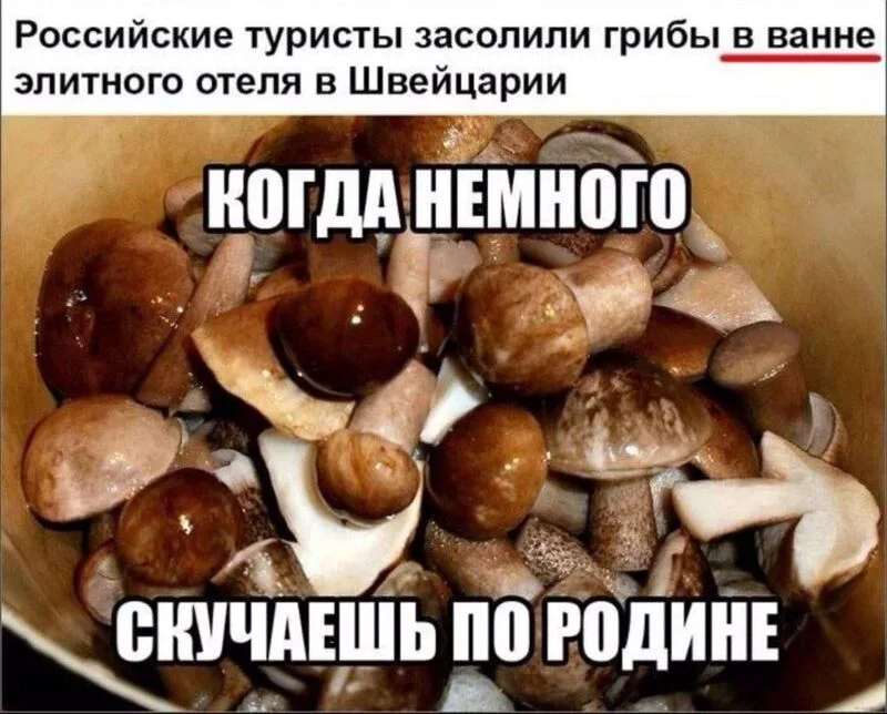 Посмеялся сам - поделись с другом!!!