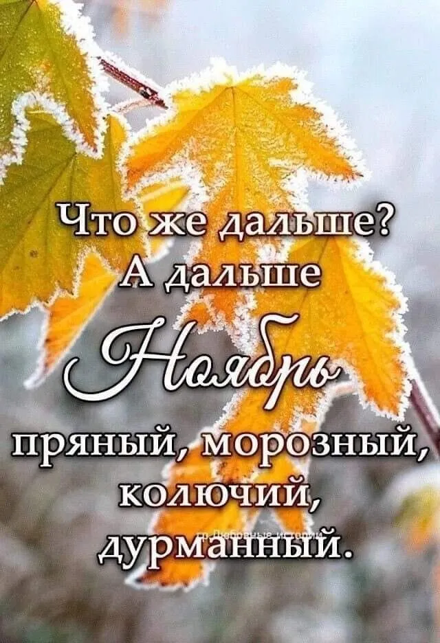 Кафе "У пани Сони"