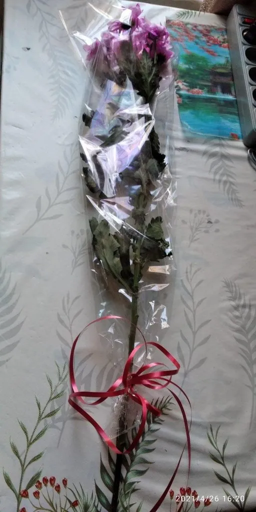 Tapтaлeтки & Ко