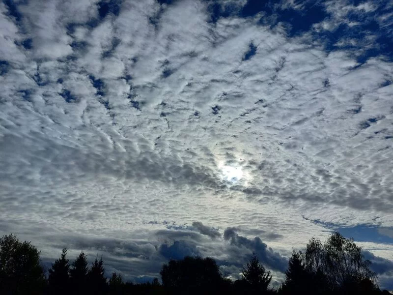 Такое разное небо