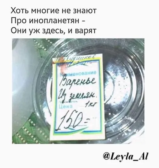Всюду рифмы