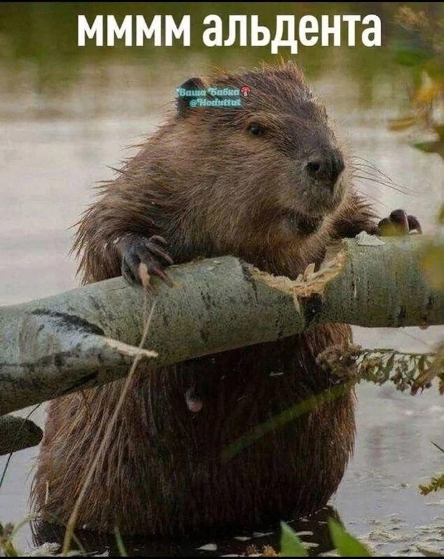 Посмеялся сам - поделись с другом!!!