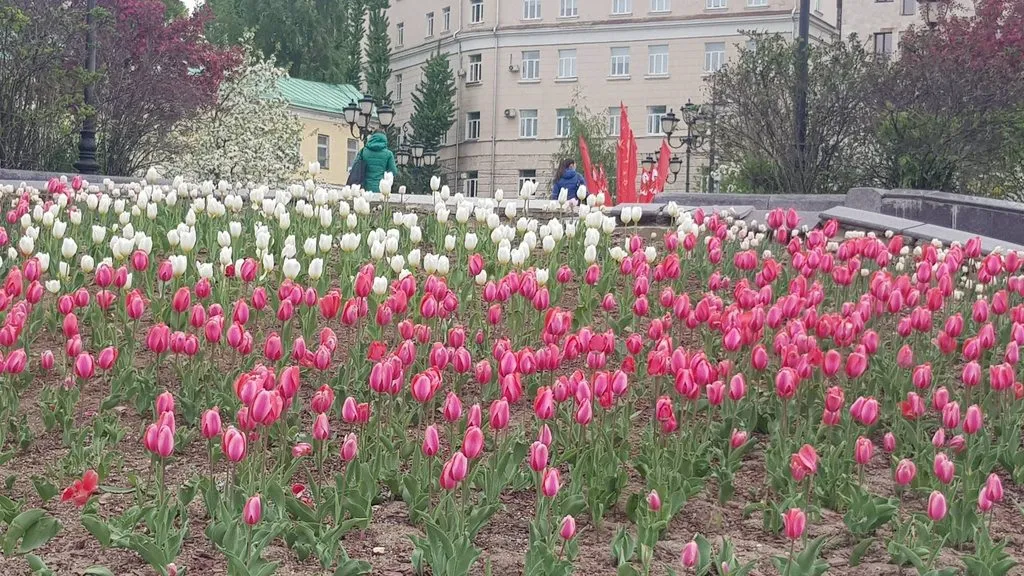 Что в Москве слышно? 