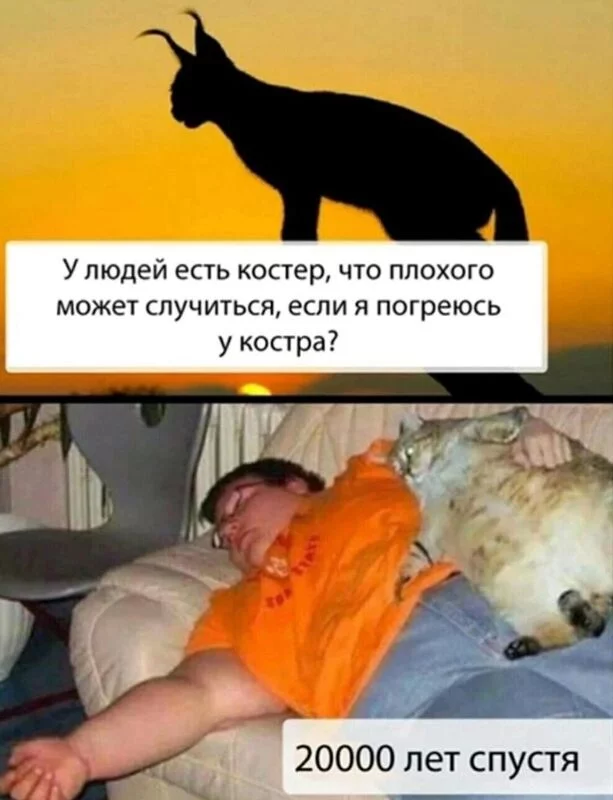 Посмеялся сам - поделись с другом!!!