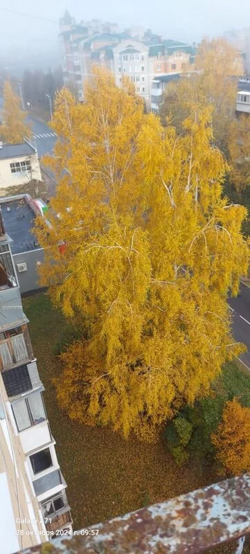 Чайная беседка