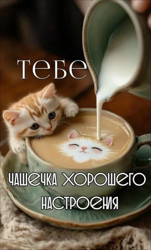 Кафе "У пани Сони"