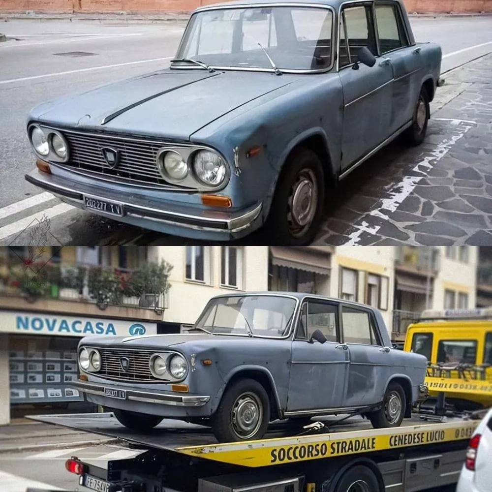 Запечатленная история