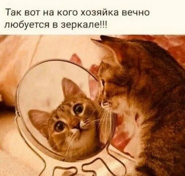 Посмеялся сам - поделись с другом!!!