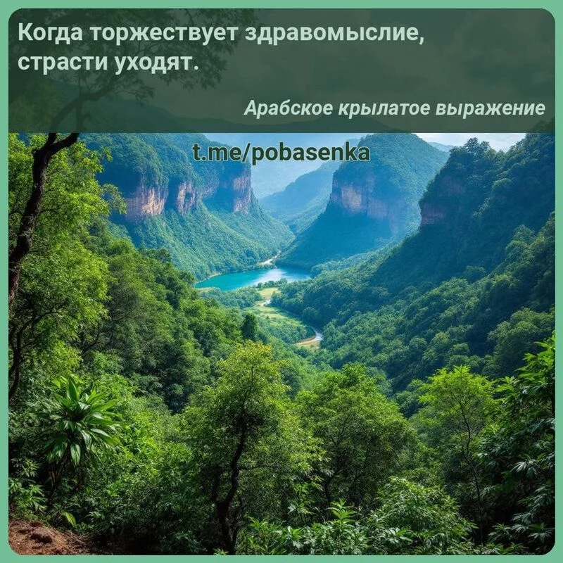 «Когда торжествует здравомыслие, страсти уходят...» height="550" width="550"