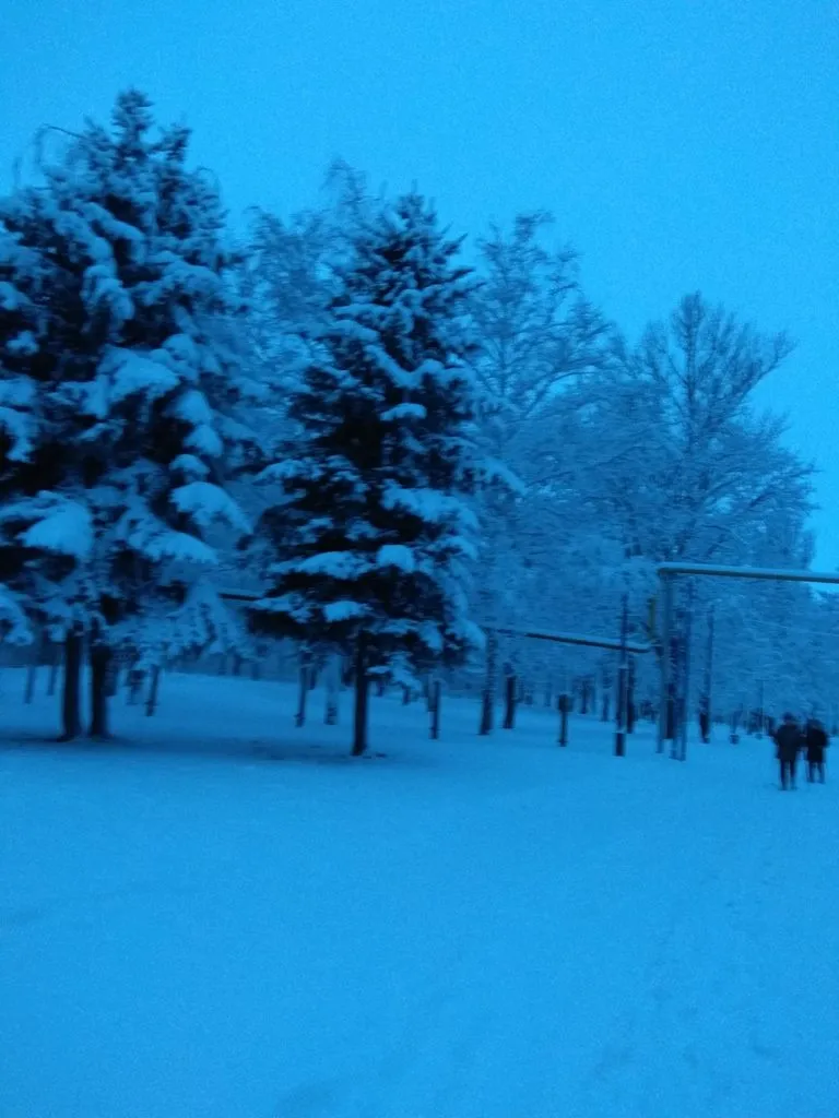 Чайная беседка