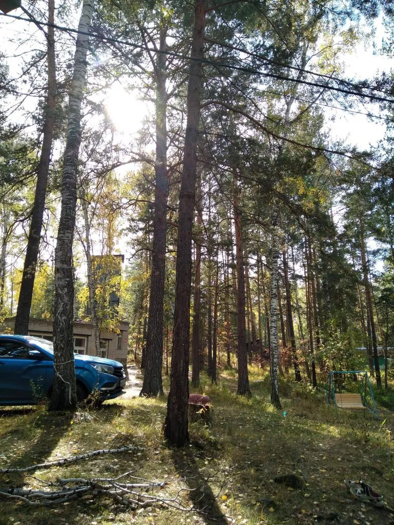 Чайная беседка