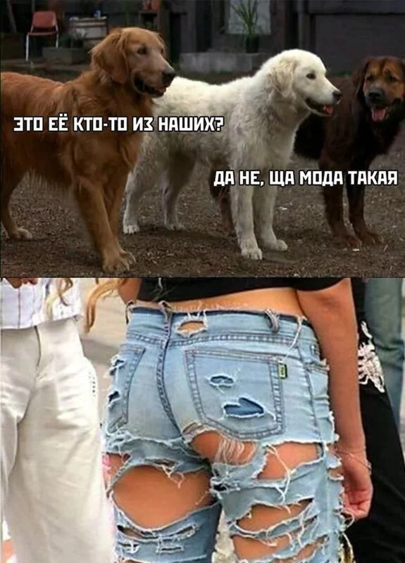 Посмеялся сам - поделись с другом!!!