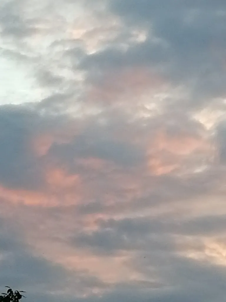 Чайная беседка