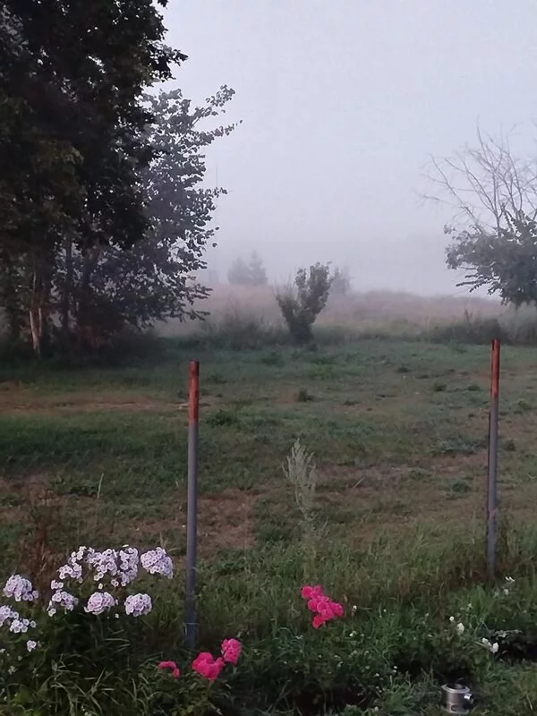 Чайная беседка