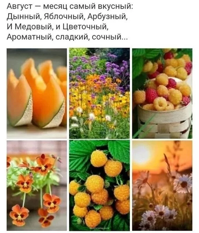 Позитивчик (фото, видео, рассказы для хорошего настроения)