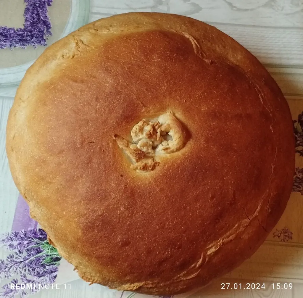 Tapтaлeтки & Ко