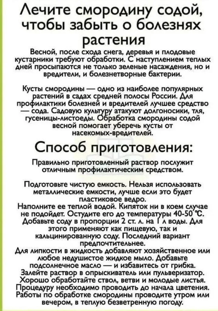 Садово-огородная  инфографика