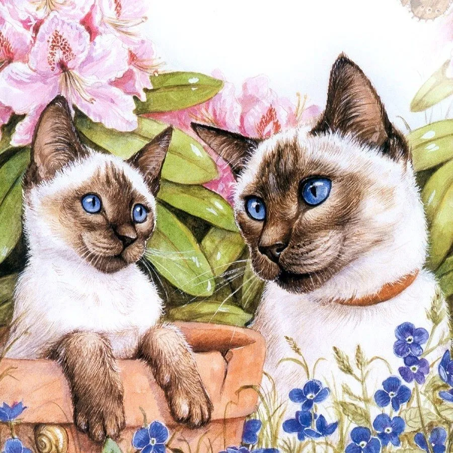 Кафе «У пани Сони»