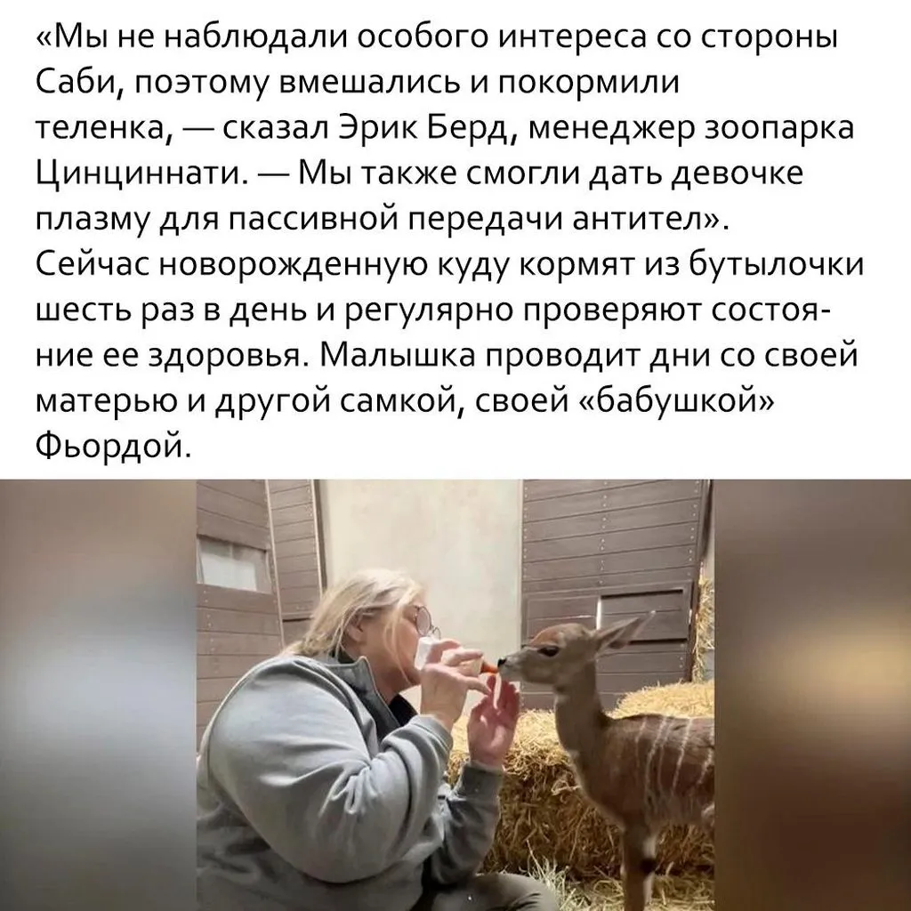 Это интересно!
